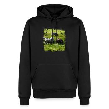 Heidschnucken sind gute Futterverwerter - Männer Premium Bio Hoodie - Schwarz - Vorne - Nico (187cm)