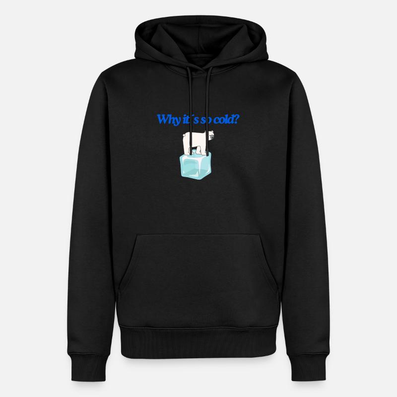 Why it s so cold? - Männer Premium Bio Hoodie - Schwarz