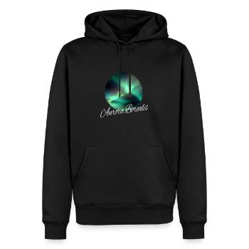 Aurores boréales - Sweat à capuche Premium bio Homme - noir - Devant - Nico (187cm)