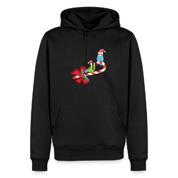 Oiseau de Noël perruche mignon - Sweat à capuche Premium bio Homme - noir - Devant - Nico (187cm)