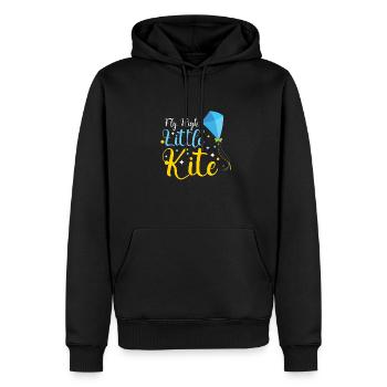 Kite Flying Kite Fan pour les amateurs de vol Fite - Sweat à capuche Premium bio Homme - noir - Devant - Nico (187cm)
