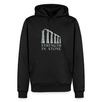 Passionnés d’histoire Passionnés de la Rome antique - Sweat à capuche Premium bio Homme - noir - Devant - Nico (187cm)
