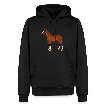 Hackney Pferd echt - Männer Premium Bio Hoodie - Schwarz - Vorne - Nico (187cm)