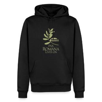 Passionnés d’histoire Passionnés de la Rome antique - Sweat à capuche Premium bio Homme - noir - Devant - Nico (187cm)