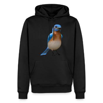 Hüttensänger Vogel Design - Männer Premium Bio Hoodie - Schwarz - Vorne - Nico (187cm)