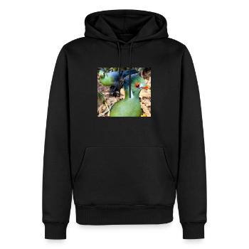 White Cheeked Turaco Bird - Men’s Premium Organic Hoodie - black - Front - Nico (187cm)
