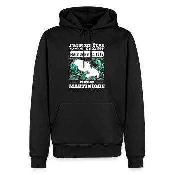 martinique-définition - Sweat à capuche Premium bio Homme - noir - Devant - Nico (187cm)