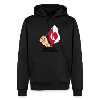 Flag Groenland fist espace de texte - Sweat à capuche Premium bio Homme - noir - Devant - Nico (187cm)