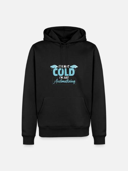Weatherman | Meteorologist | British Weather - Men’s Premium Organic Hoodie - black