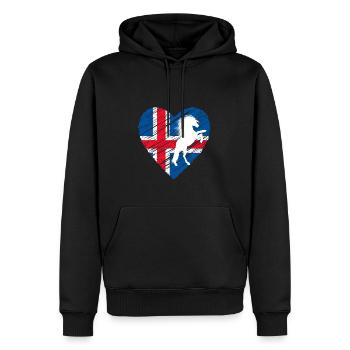 Cheval islandais - Sweat à capuche Premium bio Homme - noir - Devant - Nico (187cm)