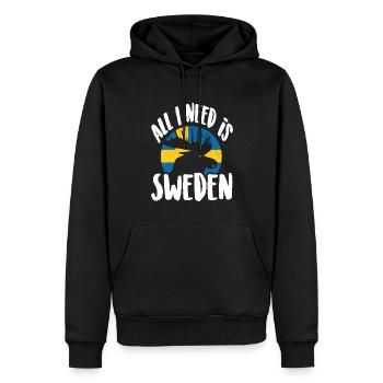 Tout ce dont j’ai besoin, c’est de la Suède - Sweat à capuche Premium bio Homme - noir - Devant - Nico (187cm)