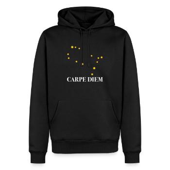 Carpe Diem nutze den Tag Sternbild Zwilling Gemini - Männer Premium Bio Hoodie - Schwarz - Vorne - Nico (187cm)
