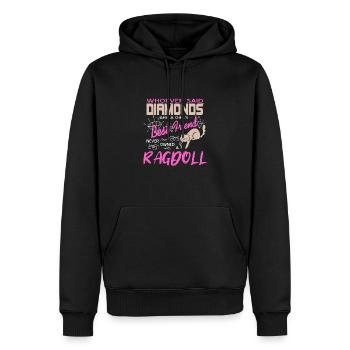 Never Owned A Ragdoll Cat Lover T-Shirt Present - Männer Premium Bio Hoodie - Schwarz - Vorne - Nico (187cm)