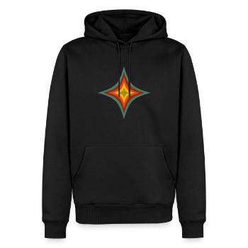 étoile - Sweat à capuche Premium bio Homme - noir - Devant - Nico (187cm)