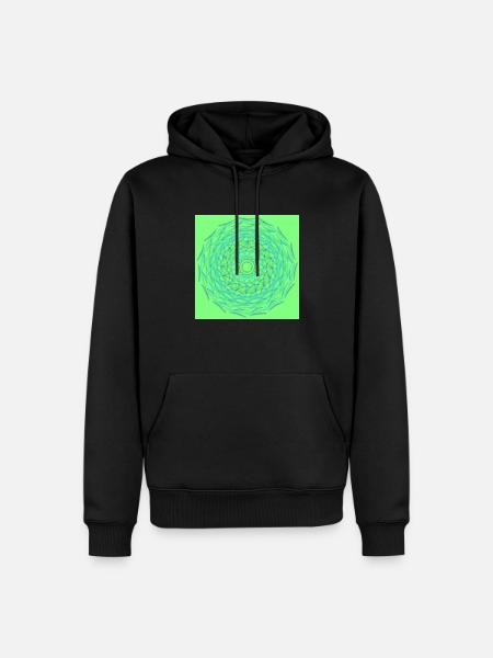 Cercle Vert Web - Sweat à capuche Premium bio Homme - noir