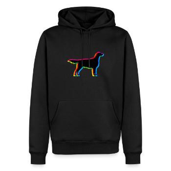 CMYK Irish Red and White Setter - Männer Premium Bio Hoodie - Schwarz - Vorne - Nico (187cm)