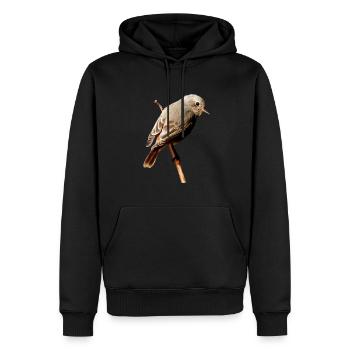 Rotschwänzchen - Männer Premium Bio Hoodie - Schwarz - Vorne - Nico (187cm)