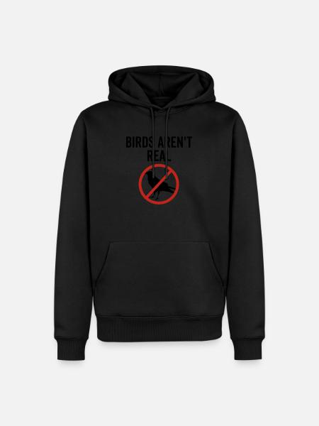 Birds Aren't Real - Men’s Premium Organic Hoodie - black