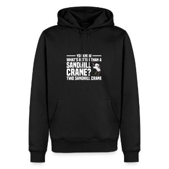 Kanadakranich | Kanadischer Kranich Vogel Geschenk - Männer Premium Bio Hoodie - Schwarz - Vorne - Nico (187cm)