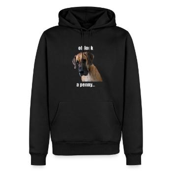Oh look, a penny... - Männer Premium Bio Hoodie - Schwarz - Vorne - Nico (187cm)