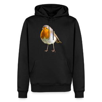 Vogel-Designs für Naturfreunde, Rotkehlchen - Männer Premium Bio Hoodie - Schwarz - Vorne - Nico (187cm)