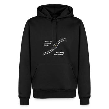 Fourmis - et si vous avez raison et qu’elles ont tort - Sweat à capuche Premium bio Homme - noir - Devant - Nico (187cm)
