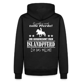 Islandpferd T-Shirt Isländer Islandpony - Männer Premium Bio Hoodie - Schwarz - Hinten - Nico (187cm)