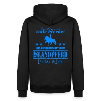 Isländer T-Shirt Islandpferd Island Pony - Männer Premium Bio Hoodie - Schwarz - Hinten - Nico (187cm)