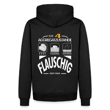 Physik 4 Aggregatzustände Flauschig Dick Geschenk - Männer Premium Bio Hoodie - Schwarz - Hinten - Nico (187cm)