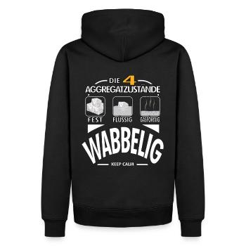 Physik 4 Aggregatzustände wabbelig Dick Geschenk - Männer Premium Bio Hoodie - Schwarz - Hinten - Nico (187cm)