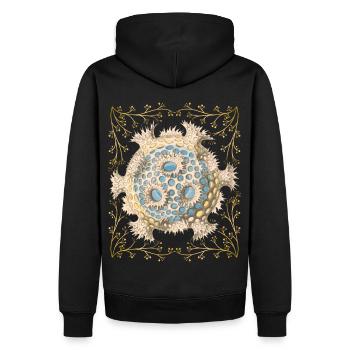 Illustration maritime vintage, créatures marines - Sweat à capuche Premium bio Homme - noir - Dos - Nico (187cm)