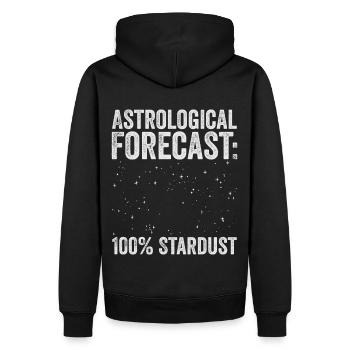 Astrological Forecast Astronomy Funny Astronomy - Männer Premium Bio Hoodie - Schwarz - Hinten - Nico (187cm)