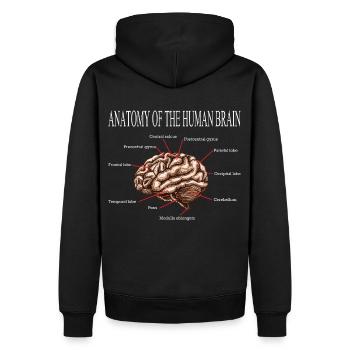 ANATOMIE DU CERVEAU DON EN NEUROSCIENCES - Sweat à capuche Premium bio Homme - noir - Dos - Nico (187cm)