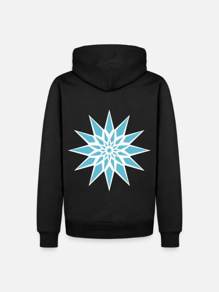 Cristal de glace étoilée - Sweat à capuche Premium bio Homme - noir