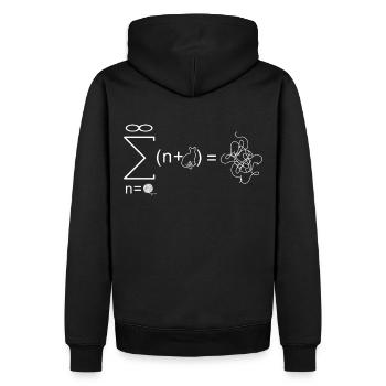 Théorie des cordes Physicien Physique Cadeau - Sweat à capuche Premium bio Homme - noir - Dos - Nico (187cm)