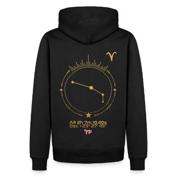 ARIES - Men’s Premium Organic Hoodie - black - Back - Nico (187cm)