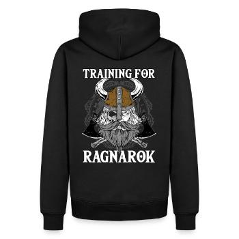 Formation pour Ragnarok I Odin Vikings - Sweat à capuche Premium bio Homme - noir - Dos - Nico (187cm)