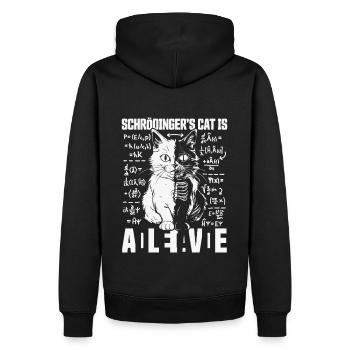 SCHRÖDINGERS KATZE DEAD AND ALIVE QUANTEN PHYSIK - Männer Premium Bio Hoodie - Schwarz - Hinten - Nico (187cm)