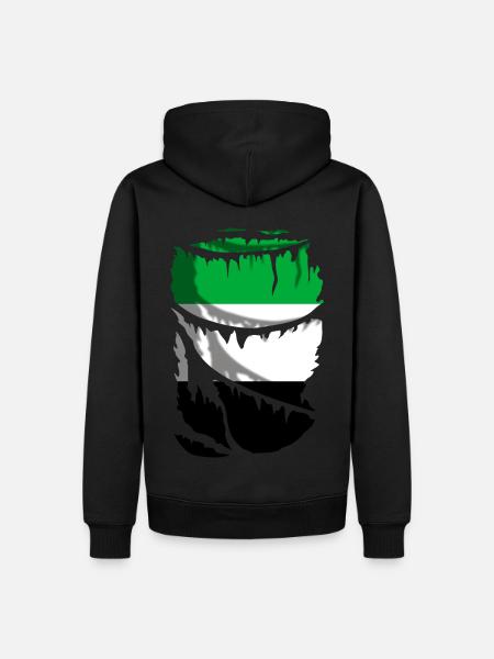 Flag of Extremadura, original gift - Men’s Premium Organic Hoodie - black