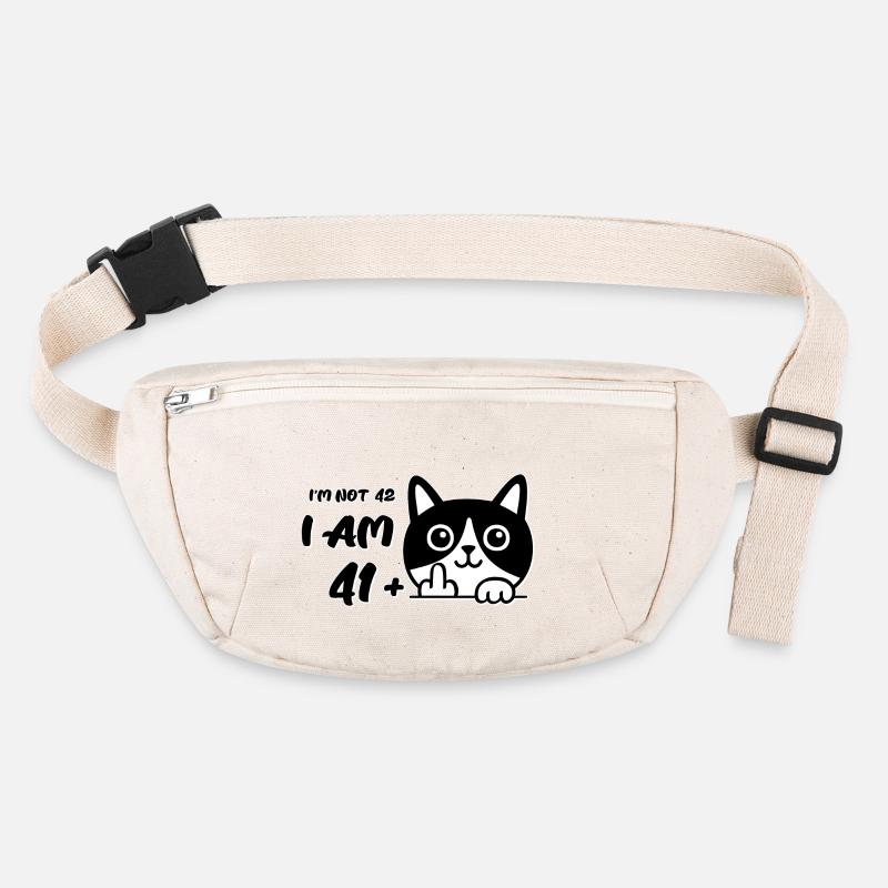 Ich bin nicht 42, ich bin 41 plus 1 Mittelfinger Katzenflipp Stanley/Stella recycelte Gürteltasche