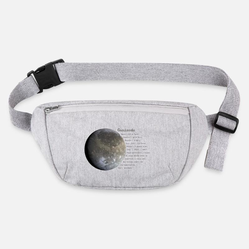 Ganymede Stanley/Stella recycled Hip Bag 