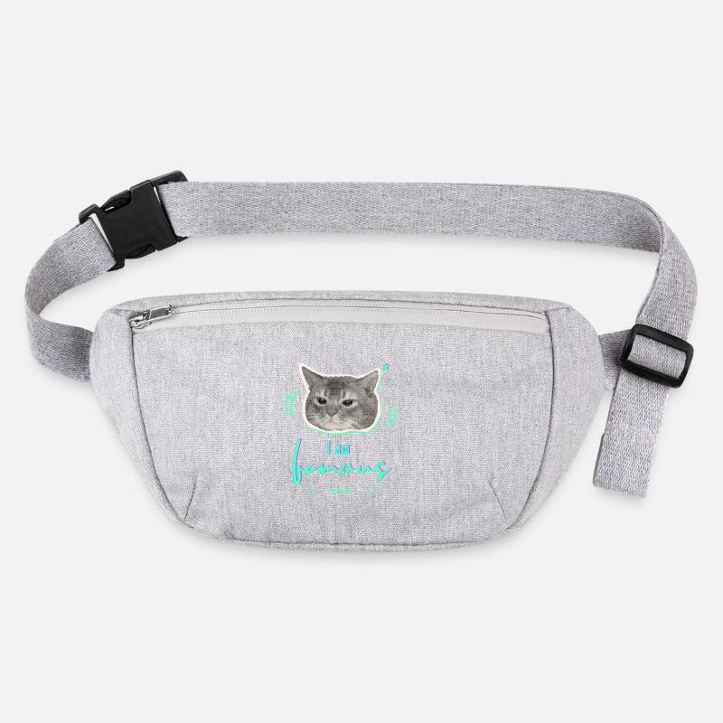 Conception humoristique de mèmes de chat - Je suis célèbre Sac banane recyclé Stanley/Stella