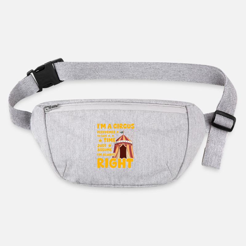 I'm a Circus Performer Stanley/Stella recycled Hip Bag 