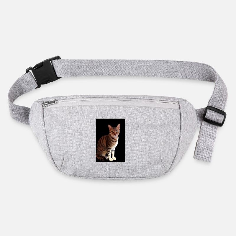 Chat chat chaton doux Sac banane recyclé Stanley/Stella