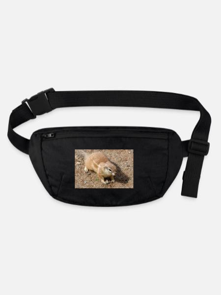 African ground squirrels Borstenhörnchen Xerus - Stanley/Stella recycled Hip Bag  - black - Front