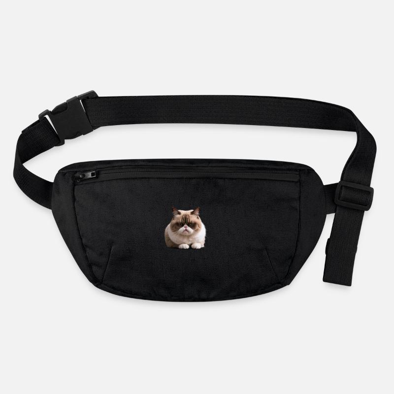 Chat du lundi, Chat , Lundi Sac banane recyclé Stanley/Stella