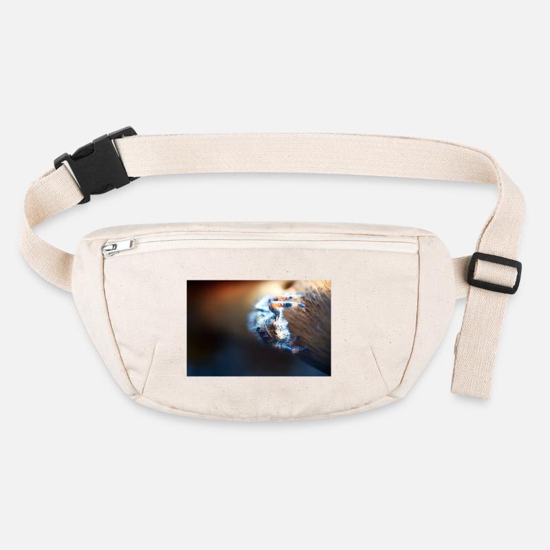 Springspinne, Phidippus regius,jumping spider Stanley/Stella recycelte Gürteltasche