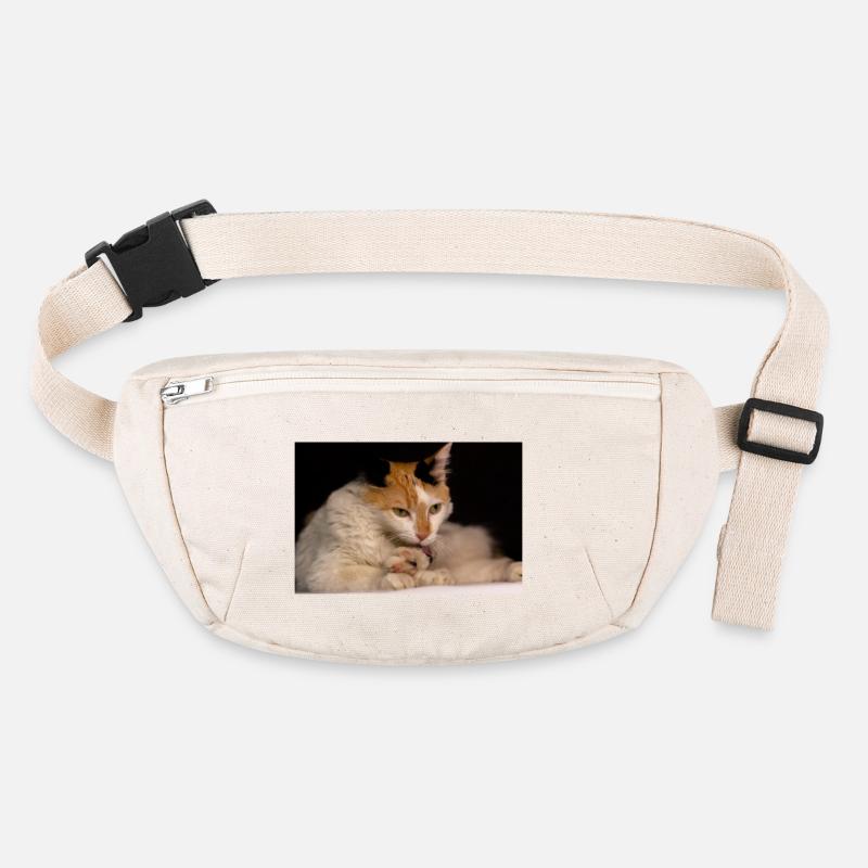 le chat Sac banane recyclé Stanley/Stella