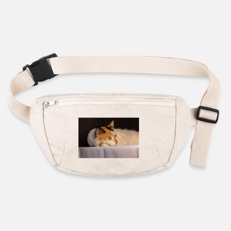 le chat Sac banane recyclé Stanley/Stella