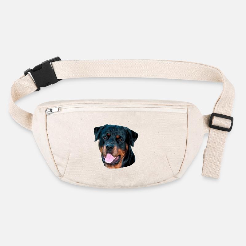 rotti Stanley/Stella recycelte Gürteltasche